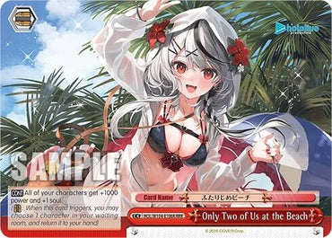 Only Two of Us at the Beach [hololive production Vol. 2]